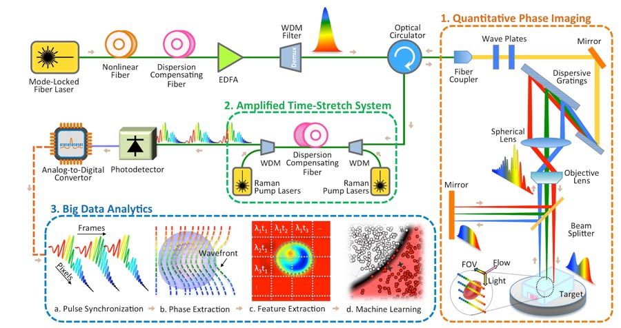 Figure 3. Diagram of the time stretch quantitative phase imaging and analytics system.