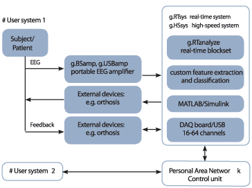 brain_ci_fig2_w.gif