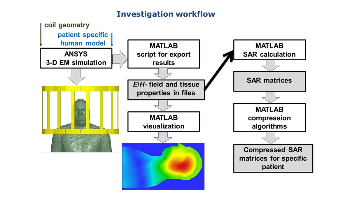 Workflow per il calcolo del tasso di assorbimento specifico utilizzando modelli umani virtuali con MATLAB.