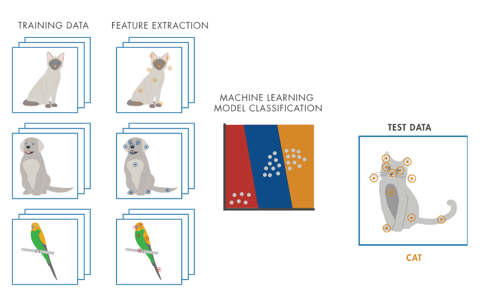 Workflow del Machine Learning