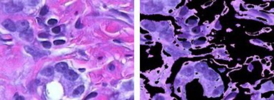 Segmentazione di immagini basata sui colori mediante clustering k-means.