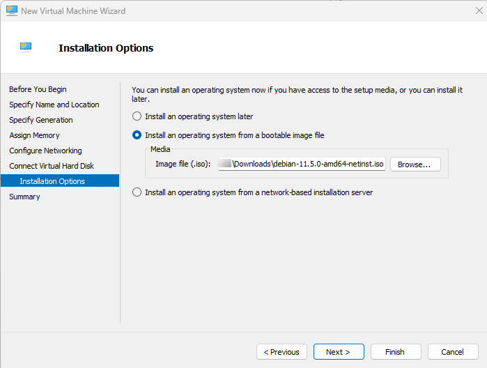 New Virtual Machine Wizard, Installation Options