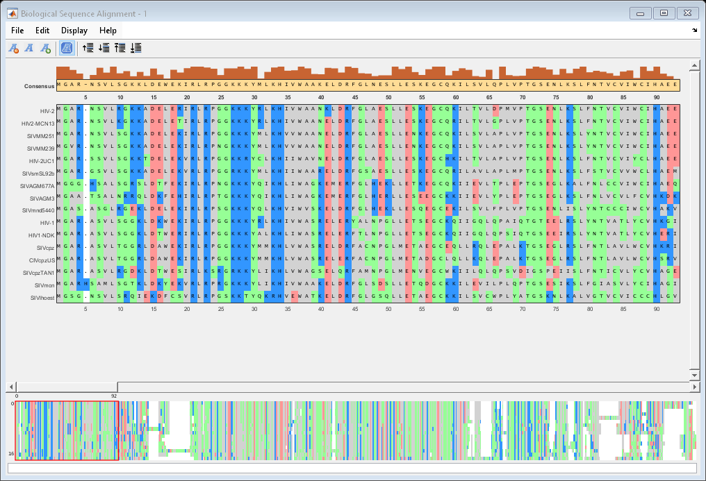 visualize-and-edit-multiple-sequence-alignment-matlab-seqalignviewer