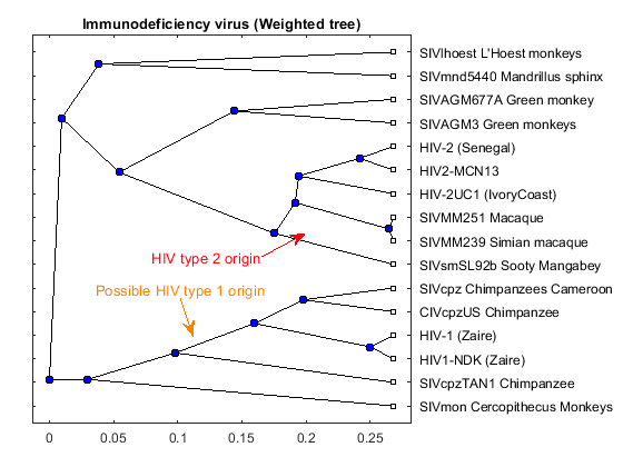 Analyzing the Origin of the Human Immunodeficiency Virus