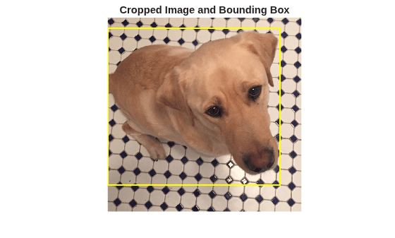 Figure contains an axes object. The hidden axes object with title Cropped Image and Bounding Box contains an object of type image.
