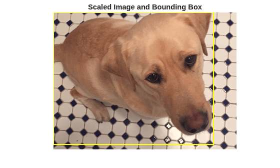 Figure contains an axes object. The hidden axes object with title Scaled Image and Bounding Box contains an object of type image.