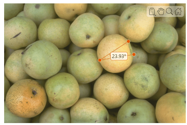 Pears image with an angle ROI with a numeric label over one object