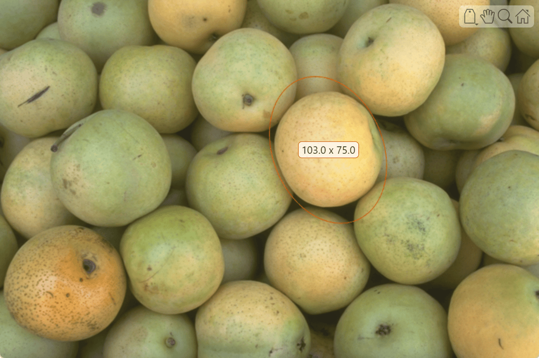 Pears image with ellipse ROI with numeric label around one pear