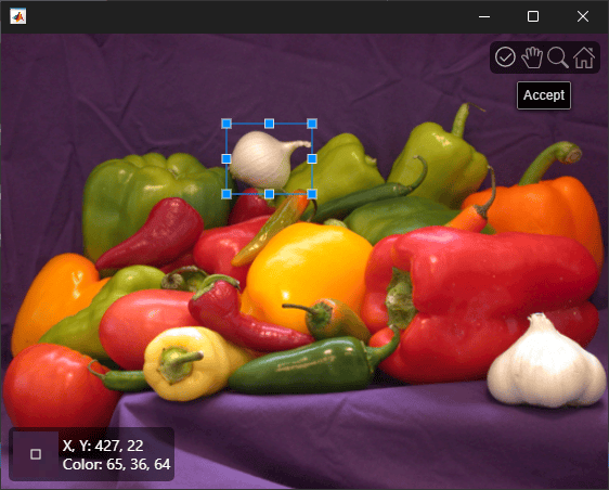 Annotation ROI on the image.