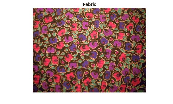 Figure contains an axes object. The hidden axes object with title Fabric contains an object of type image.