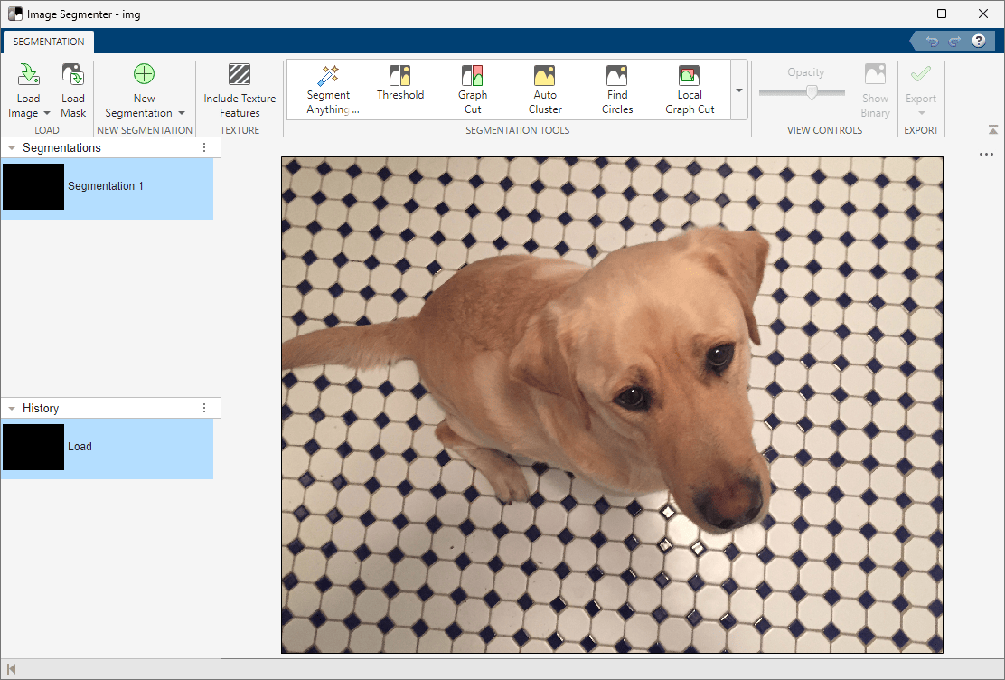 Image of a dog loaded in Image Segmenter app