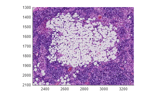 Figure contains an axes object. The axes object contains an object of type bigimageshow.