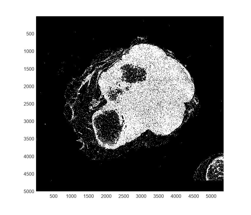 Figure contains an axes object. The axes object contains an object of type bigimageshow.