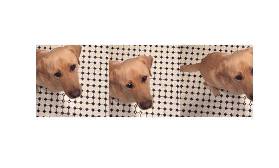 Figure contains an axes object. The hidden axes object contains an object of type image.