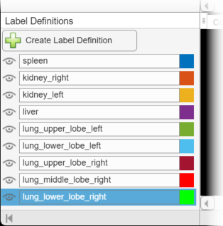 Updated Label Definitions pane with the new labels from the segmentation MONAI Label model.