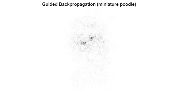 Figure contains an axes object. The hidden axes object with title Guided Backpropagation (miniature poodle) contains an object of type image.