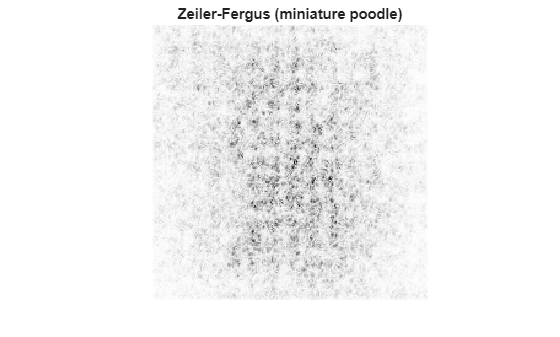 Figure contains an axes object. The hidden axes object with title Zeiler-Fergus (miniature poodle) contains an object of type image.