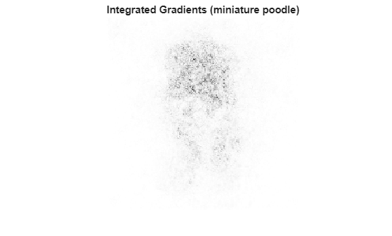 Figure contains an axes object. The hidden axes object with title Integrated Gradients (miniature poodle) contains an object of type image.