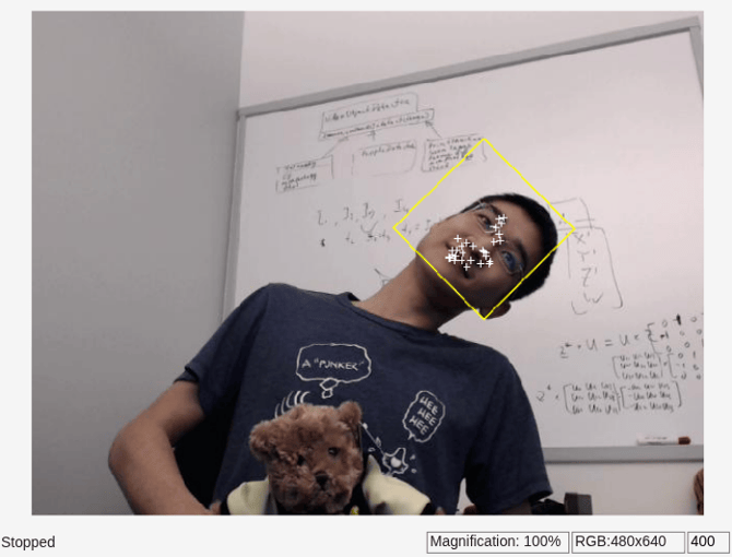 Face Detection and Tracking Using Live Video Acquisition