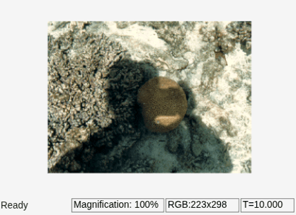 Enhance Contrast of Color Image Using Histogram Equalization