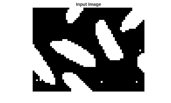 Figure contains an axes object. The hidden axes object with title Input Image contains an object of type image.