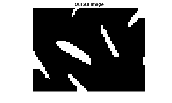 Figure contains an axes object. The hidden axes object with title Output Image contains an object of type image.