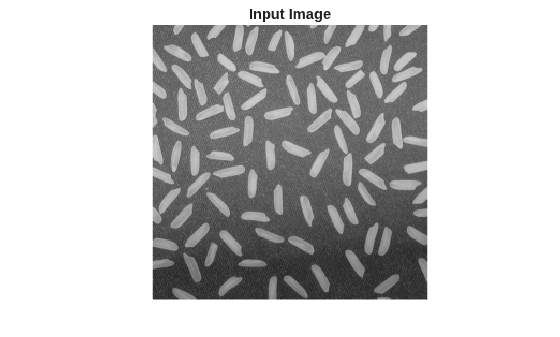 Figure contains an axes object. The hidden axes object with title Input Image contains an object of type image.