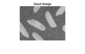 Figure contains an axes object. The hidden axes object with title Input Image contains an object of type image.