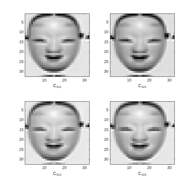Figure CPLXDDDT contains 4 axes objects. Axes object 1 with xlabel C_{411} contains an object of type image. Axes object 2 with xlabel C_{421} contains an object of type image. Axes object 3 with xlabel C_{412} contains an object of type image. Axes object 4 with xlabel C_{422} contains an object of type image.