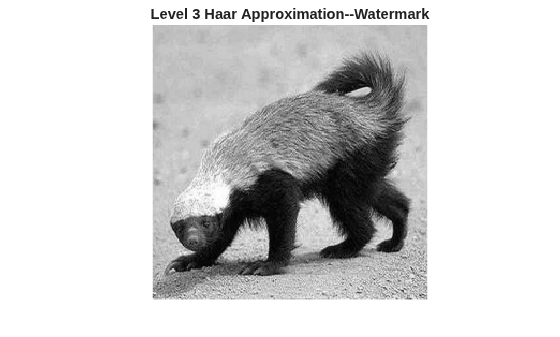 Figure contains an axes object. The hidden axes object with title Level 3 Haar Approximation--Watermark contains an object of type image.