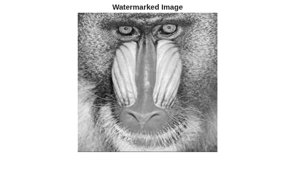 Figure contains an axes object. The hidden axes object with title Watermarked Image contains an object of type image.