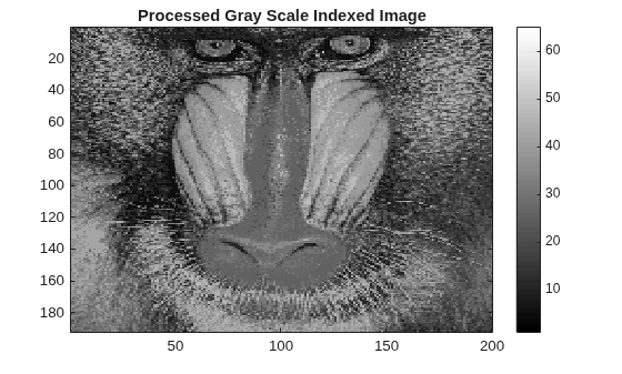 Figure contains an axes object. The axes object with title Processed Gray Scale Indexed Image contains an object of type image.