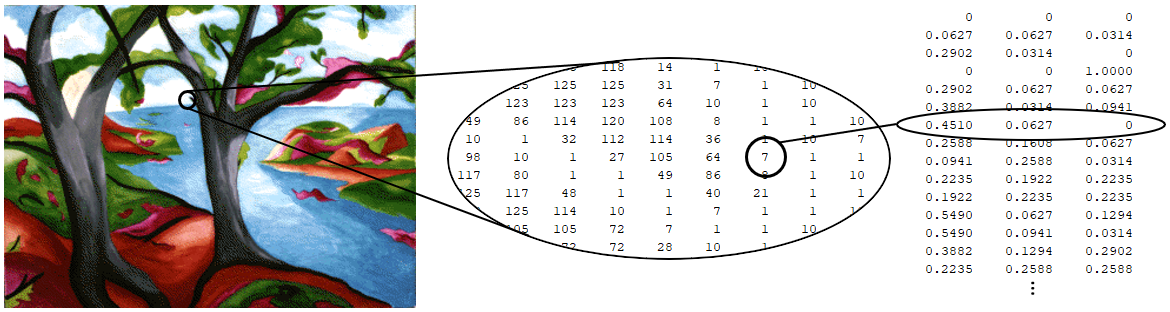 Colored indexed image accompanied by a selection of printed pixel and colormap values