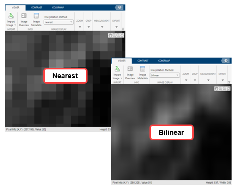 Zoomed image region displayed using nearest neighbor versus bilinear interpolation