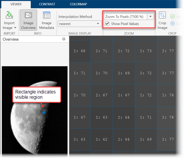 Grayscale image of the moon with the Pixel Region tool active and displaying pixel values for a region of the moon image.