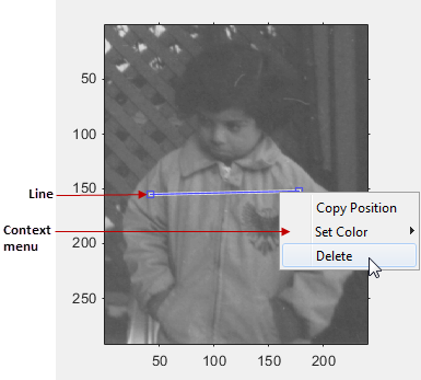 Blue line displayed over an image, with a context menu that gives options to copy the position, set the color, or delete the line.