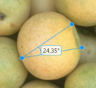 Blue Angle ROI measuring an angle in an image