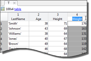 Variables editor, table view, with fourth column selected to be renamed