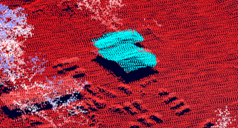 Voxel ROI label