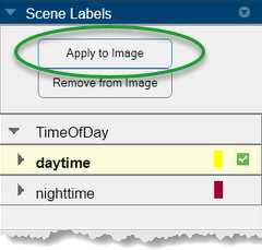 Scene Label pane with the daytime sublabel selected and checked and the Apply to Image circled.