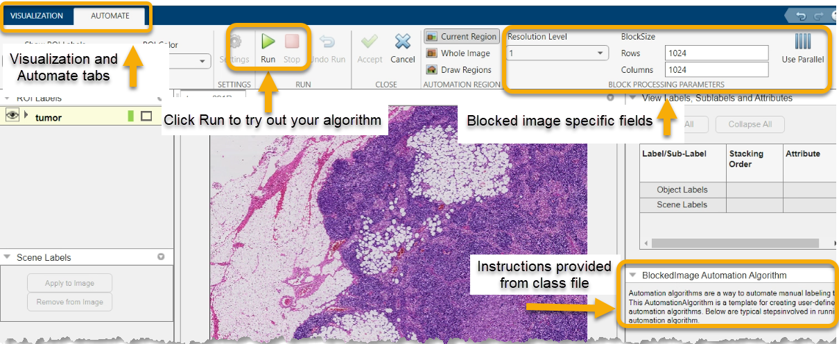 The Image Labeler Automate tab.