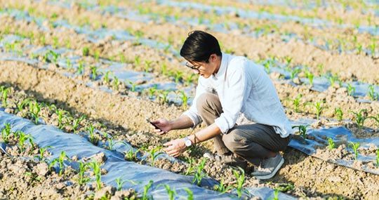 ThingSpeak for Smart Farming